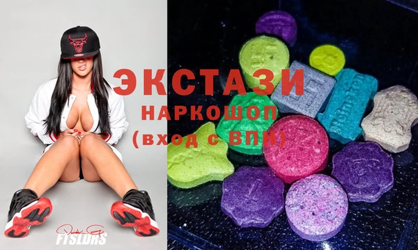 гидра Алексеевка