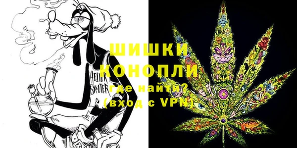 гидра Алексеевка