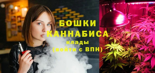 гидра Алексеевка