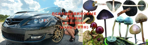 прущая мука Алзамай