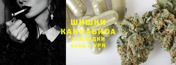 гидра Алексеевка